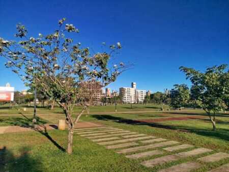 Imagen de WhatsApp 2025 09 24 a las 20.56.11 74dcf016 - 5