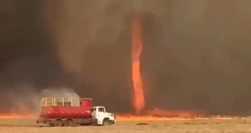 Vientos de más de 100 kilómetros por hora golpean con fuerza devastadora el sur de Brasil 7 LIc5gNUK - 6