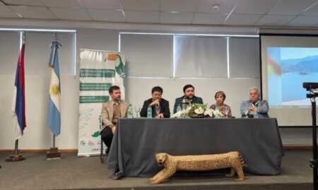 Intercambio generacional y el avance de la ciencia de datos, primeras revelaciones del Coloquio Argentino de Estadística Misiones