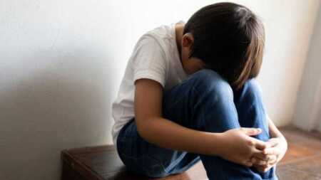 Trastorno del Desarrollo del Lenguaje: advierten sobre el aumento de casos en niños Trastorno del Desarrollo del Lenguaje