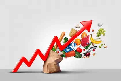 alimentos 