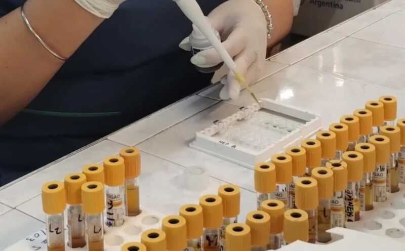 Tecnicatura en Análisis Clínicos de la Fundación Barceló: una carrera con rápida inserción laboral análisis clínicos barceló