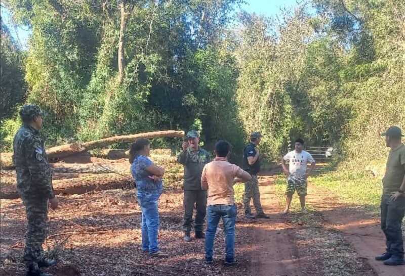 Deforestación en Misiones: el MAM denuncia tala ilegal y quemas en Colonia Alberdi 2 La tala ilegal avanza sobre el monte nativo en Misiones, mientras campesinos e indígenas reclaman intervención del Estado y de la Justicia.