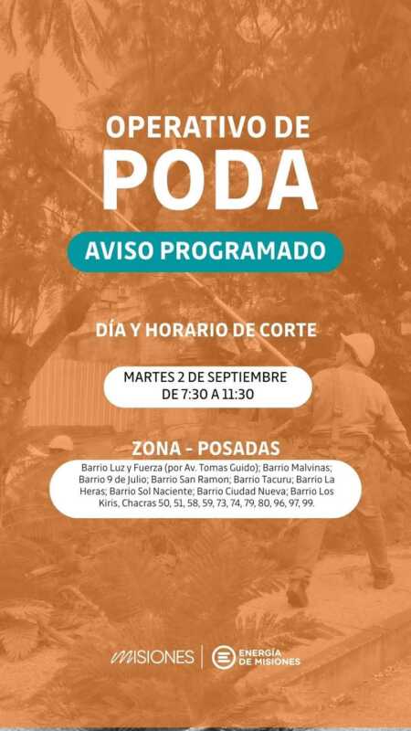 Energía de Misiones realiza Operativo de poda en Posadas: cortes programados 3 energia poda - 2