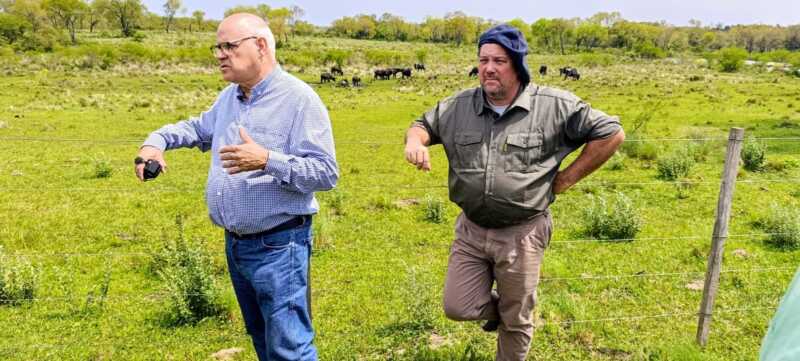 Misiones apuesta a la ganadería del futuro: Brahman colorado y búfalos como protagonistas 10 La carne de búfalo se posiciona como una opción gourmet en carnicerías y restaurantes especializados, explicaron Pamberger y Tejedor.