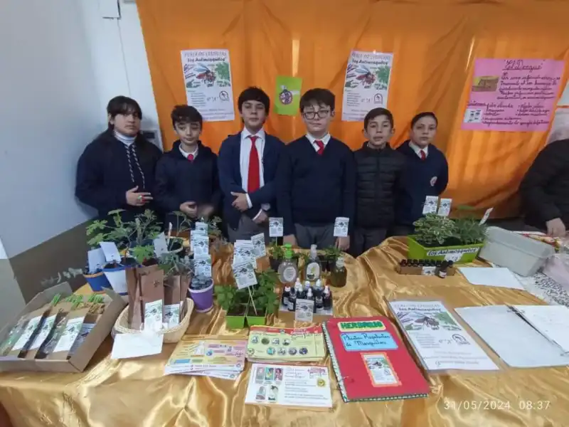 feria nacional de ciencias 5 - 6