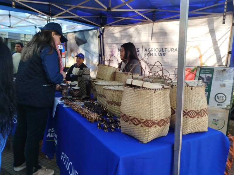 Miel orgánica y velas de cera de abeja, protagonistas de la feria de productores en Posadas 13 feria soberania alimentaria 2 - 12