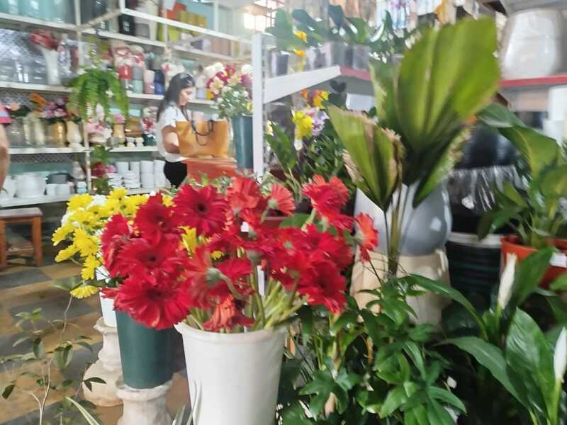Florerías de Posadas se preparan con gran expectativa para el inicio de la primavera 6 floreria flores posadas primavera 1 - 5