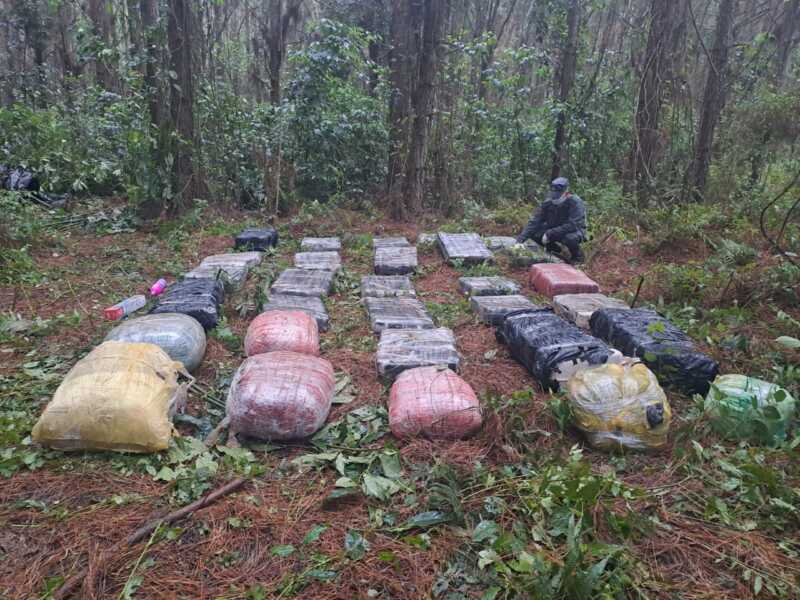 Secuestran más de media tonelada de marihuana en Iguazú marihuana 3 - 2