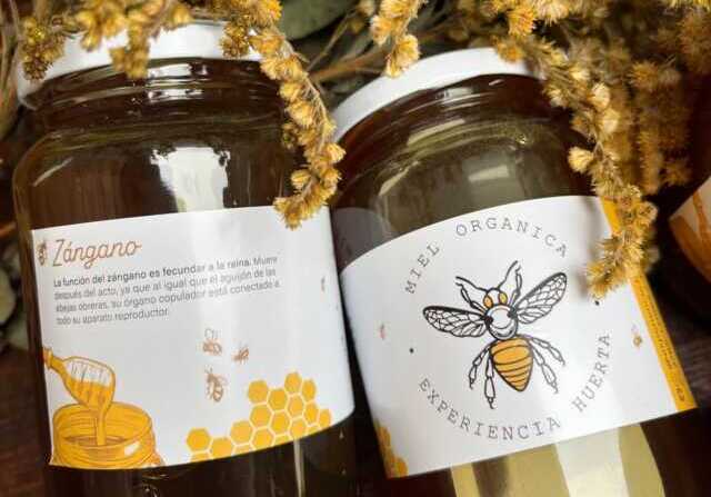 Miel orgánica y velas de cera de abeja, protagonistas de la feria de productores en Posadas 3 miel organica e1758637177686 - 2