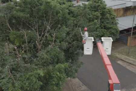 Operativo de poda en Posadas para garantizar el servicio eléctrico poda