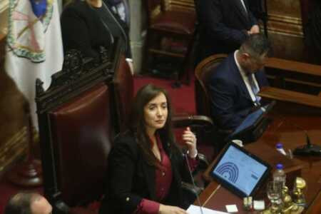 El Senado votará para imponer Leyes de universidades y Garrahan senado