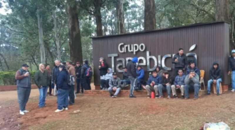 tapebicua