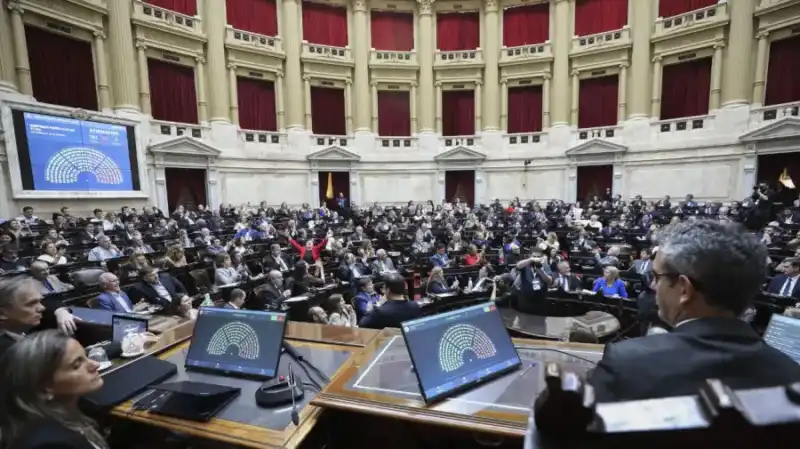 La oposición busca limitar el uso de los DNUs y desafiar al oficialismo en Diputados DNU