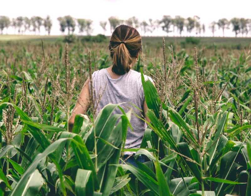 Del hogar al campo: el trabajo de la mujer rural en Misiones