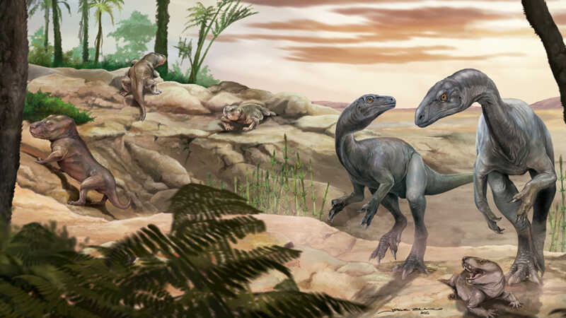 Científicos del CONICET descubren en La Rioja uno de los dinosaurios más antiguos del mundo 6 G3Vu0QcaQAAWIm5 - 5