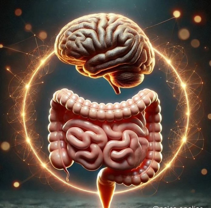 Salud intestinal y mental: por qué el bienestar comienza en el intestino - 1