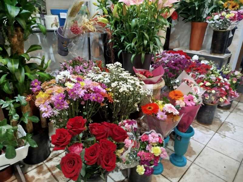 Comercios posadeños apuestan a fuertes promociones por el Día de la Madre: las opciones más buscadas 10 IMG 20251015 WA0096 - 9