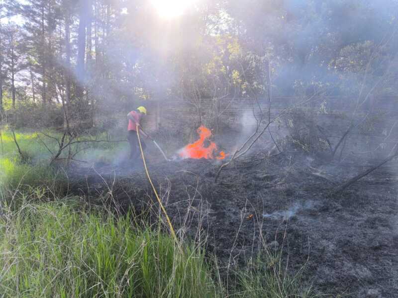 Controlaron un incendio de malezas sobre la Ruta Nacional 12 en Santa Ana 6 Imagen de WhatsApp 2025 10 05 a las 17.01.49 2387344e - 5