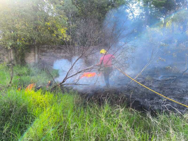Controlaron un incendio de malezas sobre la Ruta Nacional 12 en Santa Ana 4 Incendio frente a una yerbatera de Santa Ana: bomberos evitaron que se propague