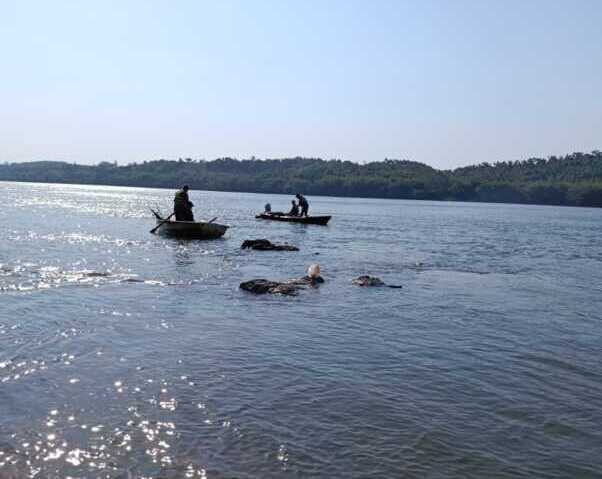 Buscan a joven desaparecido en aguas del río Paraná en Capioví Imagen de WhatsApp 2025 10 05 a las 18.16.53 85357796 e1759699538901 - 2