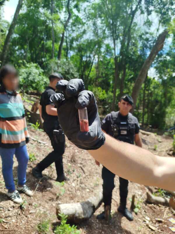 Imagen de WhatsApp 2025 10 08 a las 20.29.58 30b0a16c - 4