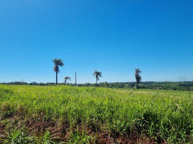 Sábado 6: Soleado en Misiones 