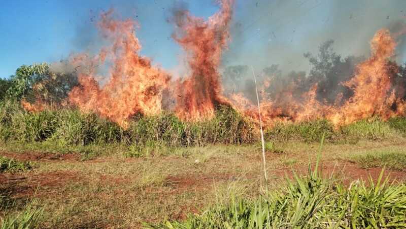 Sofocan incendio cerca de la Reserva Federal Campo San Juan Incendio cerca de la Reserva Federal Campo San Juan