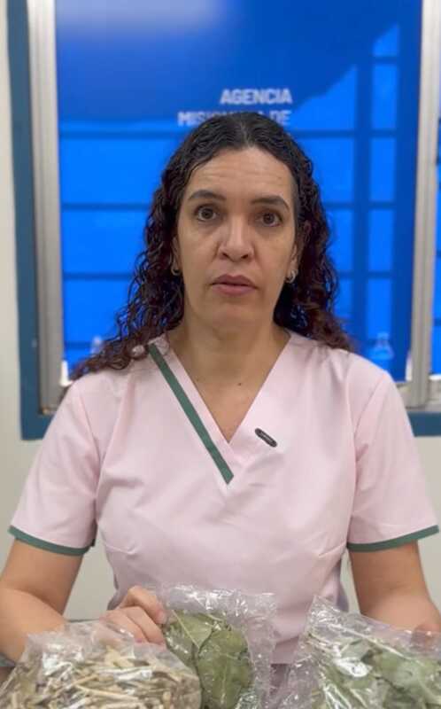 La Dra. Karina Salvatierra lidera la investigación que busca aprovechar un metabolito de la yerba mate para inhibir el virus del dengue.