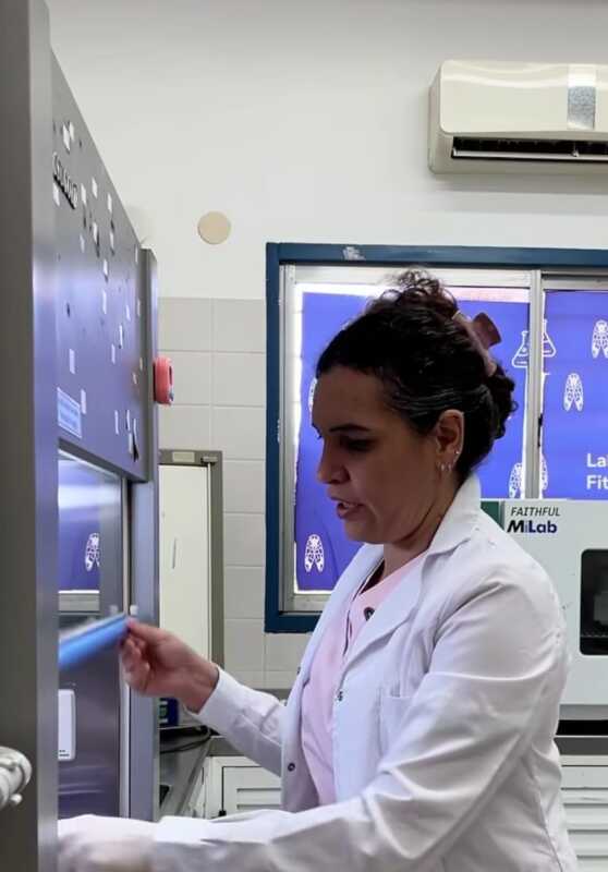 El proyecto de la Agencia Misionera de Innovación busca dar valor agregado a la yerba mate y busca dar soluciones locales frente al dengue.