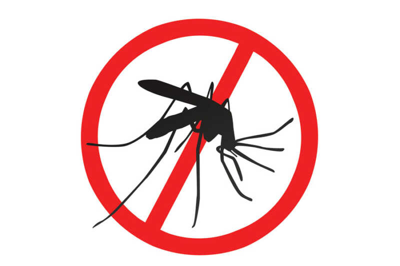 Posadas mantiene la alerta preventiva contra el dengue tras el último operativo LIRAa