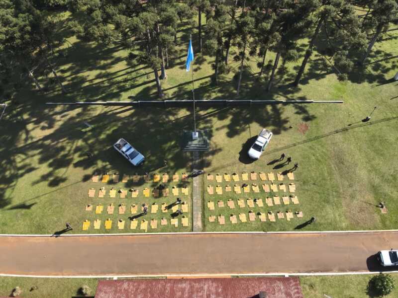 Gendarmes secuestraron casi dos toneladas de marihuana en Misiones 2 Misiones