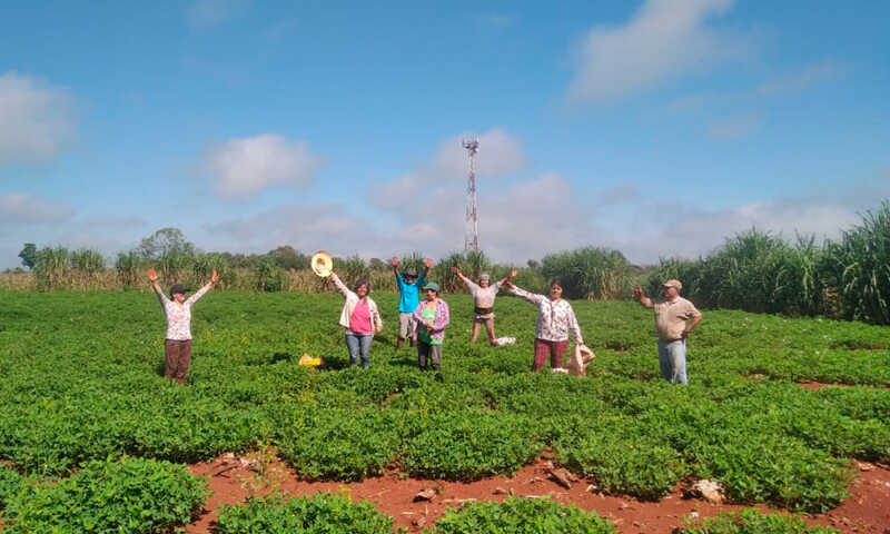 productores
