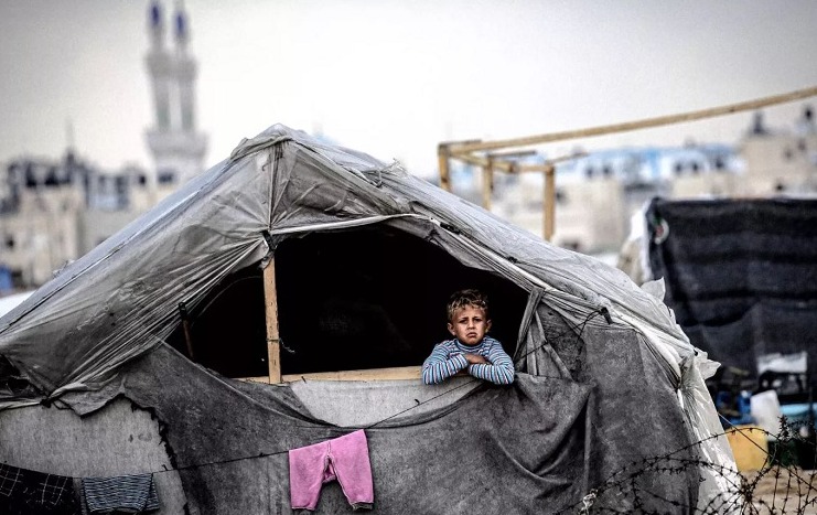 Gaza: tras la liberación de rehenes, ingresan 190.000 toneladas de ayuda humanitaria Ayuda humanitaria en Gaza
