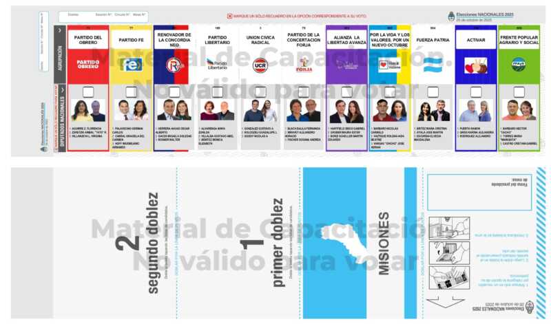 ¿Lapicera sí o lapicera no?: el análisis de una especialista de cara a las elecciones 4 WhatsApp Image 2025 10 24 at 10.40.48 - 3