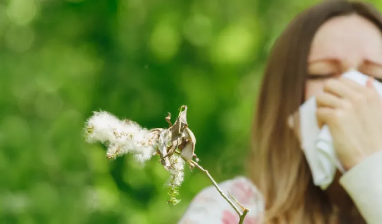 Rinitis, ojos irritados y broncoespasmos son algunos de los síntomas de las alergias de primavera que pueden controlarse con inmunoterapia y seguimiento profesional.
