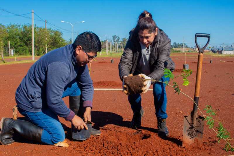 Alrededor de 22.000 unidades de distintas especies arbóreas y ornamentales crecen en ItaembéGuazú