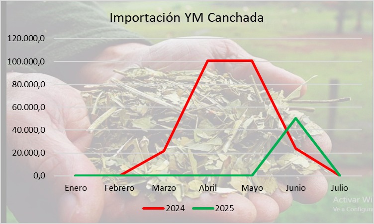 Yerba mate: “Las importaciones representan solo el 3,4 % del consumo interno; el verdadero problema es la concentración” 11 castro5 1 - 10