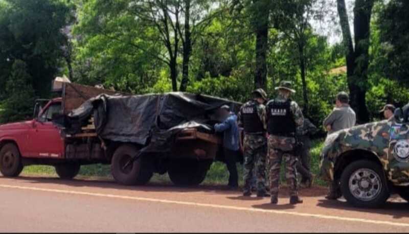 Secuestran madera nativa y detectan tala ilegal en el Parque Piñalito Sur 6 cc - 5