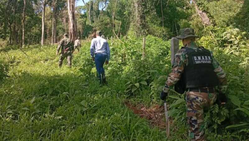 Secuestran madera nativa y detectan tala ilegal en el Parque Piñalito Sur 4 d 2 - 3