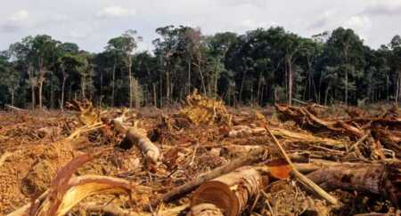 Día Internacional contra el Cambio Climático: un planeta en estado de emergencia El 2025 fue el año más caluroso registrado, con récords de temperatura, deshielo y aumento de gases de efecto invernadero, según la OMM.