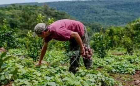empleo rural 1 - 1