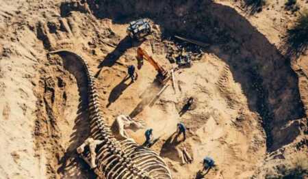 Nuevo streaming científico: CONICET explora el desierto patagónico en busca de especies de dinosaurios conicet