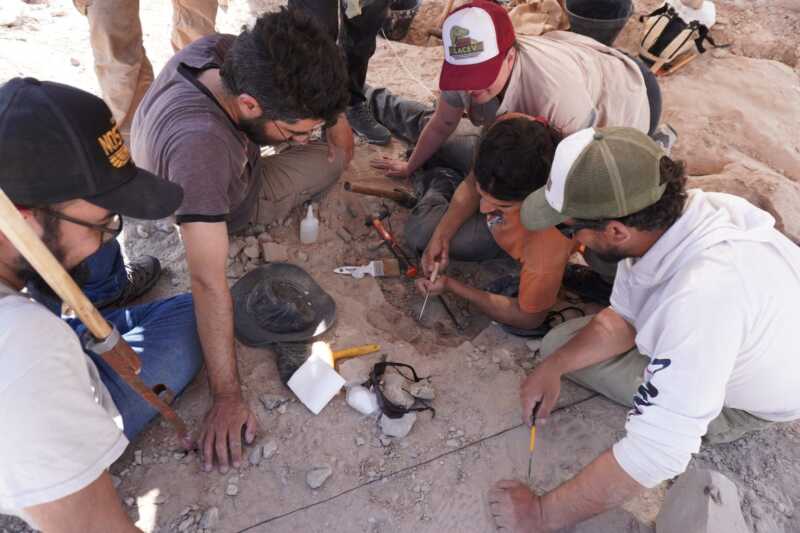 Nuevo streaming científico: CONICET explora el desierto patagónico en busca de especies de dinosaurios 1 conicet
