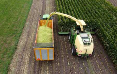 exportaciones misiones