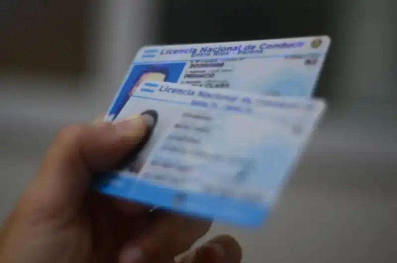 Simplifican los requisitos para obtener y renovar la licencia de conducir profesional licencia conducir 1 - 1