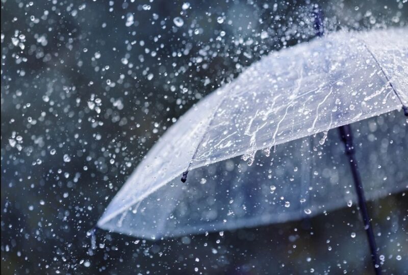 Viernes 29: inestable con posibles lluvias y tormentas aisladas en Misiones