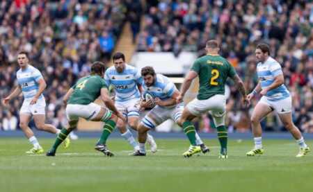 los pumas