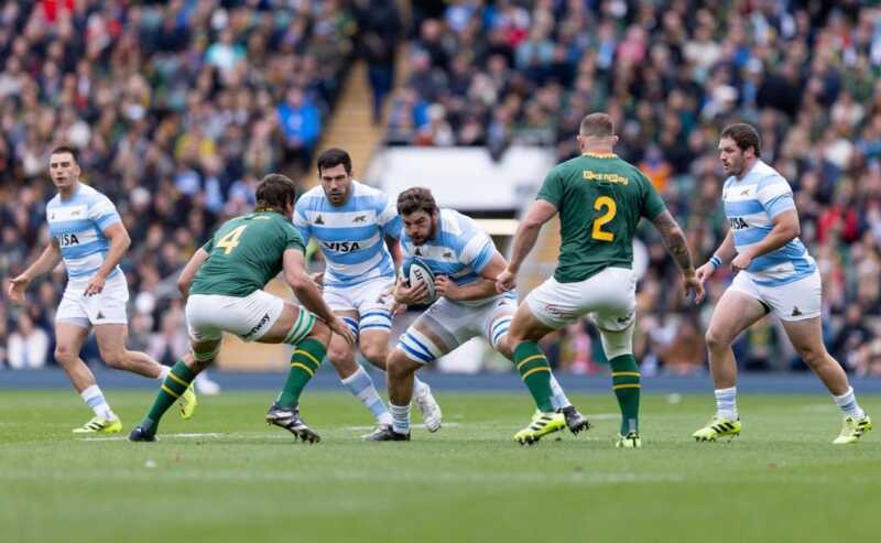 los pumas