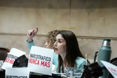 Diputados declaró la nulidad del decreto que suspendió la Ley de Emergencia en Discapacidad La Cámara de Diputados restituyó la vigencia de la Ley de Emergencia en Discapacidad y declaró nulo el decreto que la había suspendido.